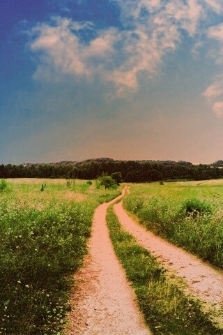 Дорога через луг обои