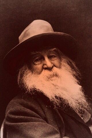 Уолт Уитмен обои