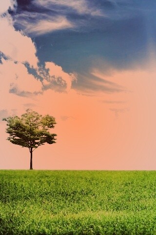 Один в целом мире обои