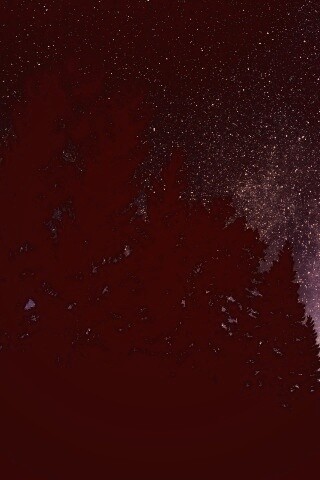 Лесной пейзаж обои