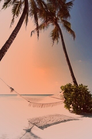 Тропический рай обои