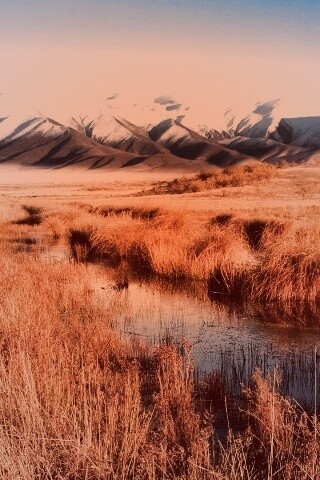 Болото и снежные горы обои