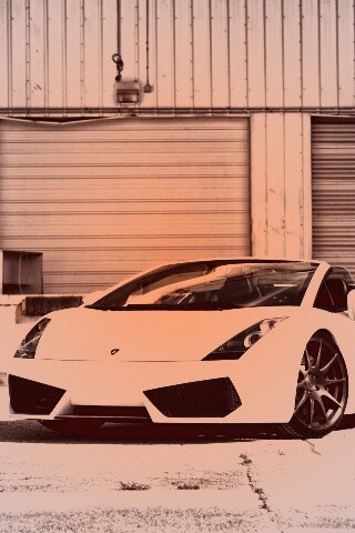 Белый спорткар Ламборгини Галлардо обои
