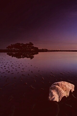 Закат на берегу моря обои