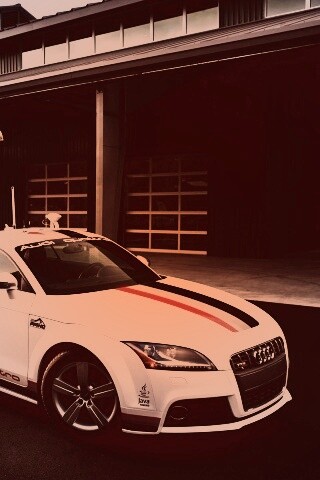 Audi Quattro обои