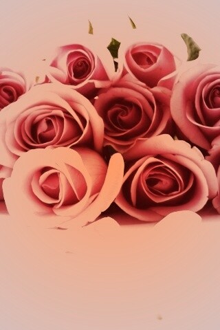 Букет роз обои