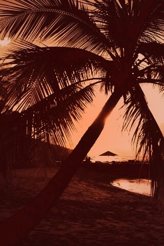 Пляж на закате обои