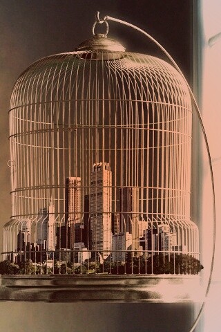 Город в клетке обои