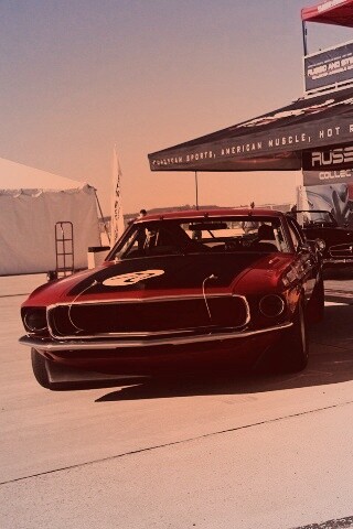 Мускул кары обои