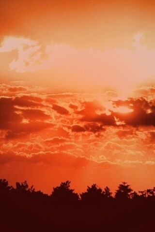 Ярко-оранжевое закатное небо обои