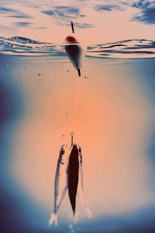 На крючке обои