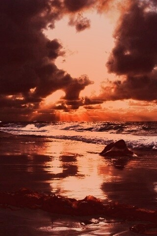 Океанский берег на закате обои