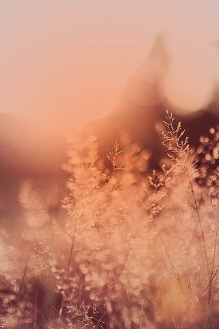 Посмотри на этот мир обои