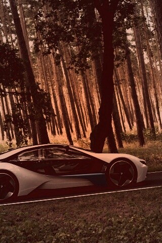 Спорткар BMW на лесной дороге обои
