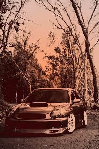 Субару Импреза на лесной дороге обои