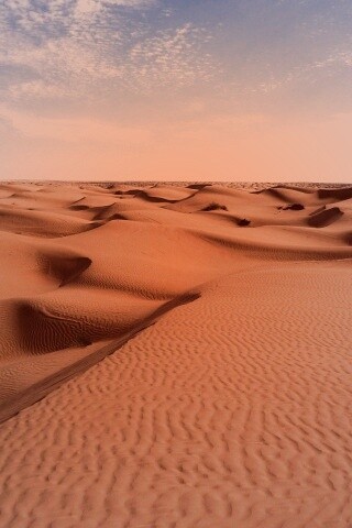 Пустыня до самого горизонта обои