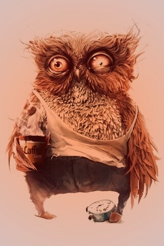 Не спящая сова обои