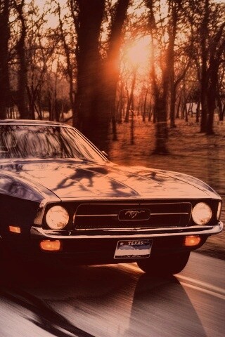 Мустанг обои