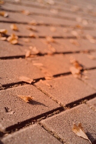 Тротуар обои