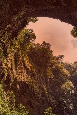 Заросшее ущелье обои