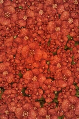 Рисунко с красными цветами обои