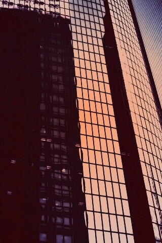 Стеклянная стена небоскреба обои
