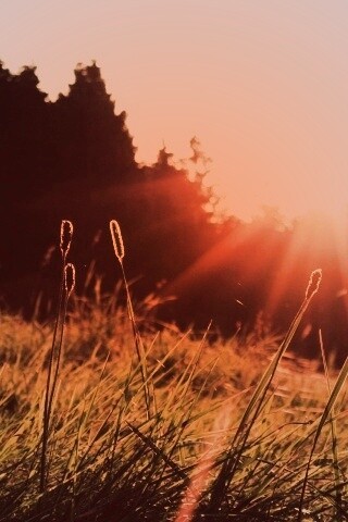 Красота природы обои