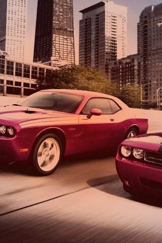 Два розовых мускулкара обои