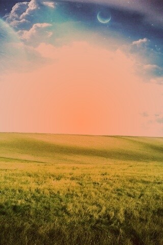 Луг на другой планете обои