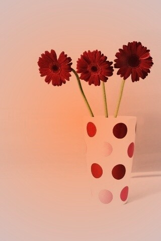 Вазочка с тремя красными герберами обои