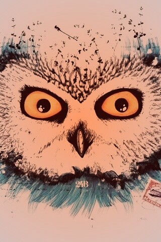 Обои сова для mac book обои