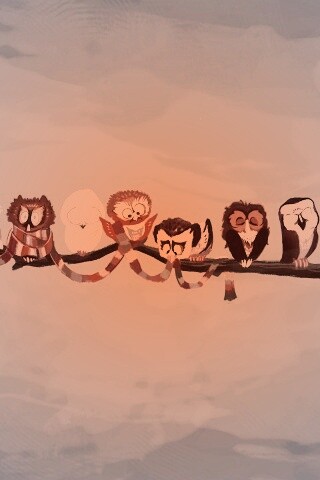 Совы на ветке обои