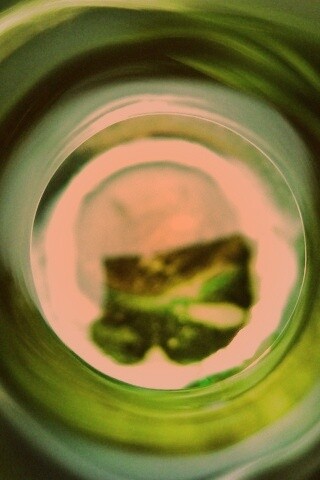 Зеленая бутылка обои