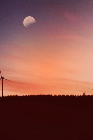 Закат за холмом обои