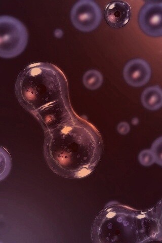 Деление обои