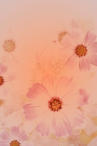 Цветочки обои