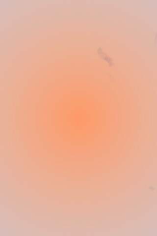 Белые лепестки обои