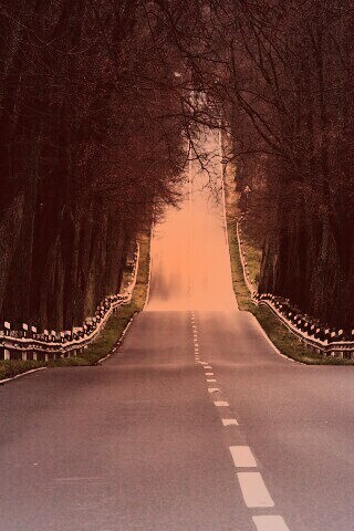 Дорога уходит ввысь обои