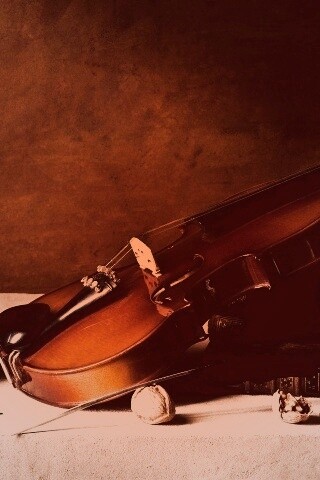 Композиция со скрипкой обои