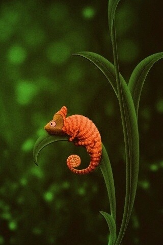 Хамелеон замаскированный под улитку обои