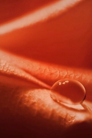 Капелька обои