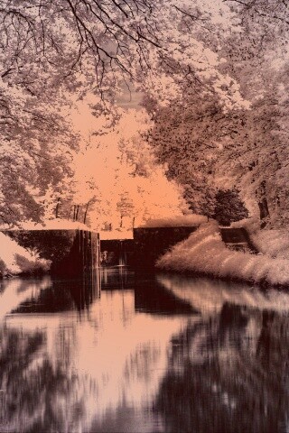 Замёрзжий канал обои