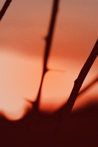 Закат солнца в поле обои