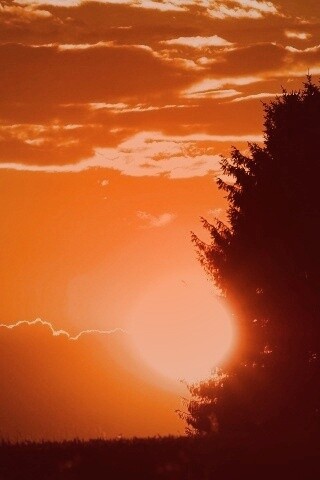 Теплый закат над полем обои