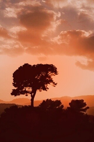 Закат над холмами обои