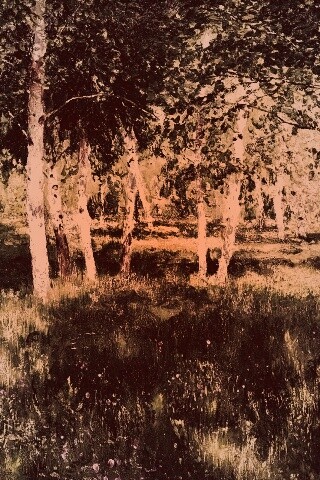 Левитан "Берёзовая роща" обои