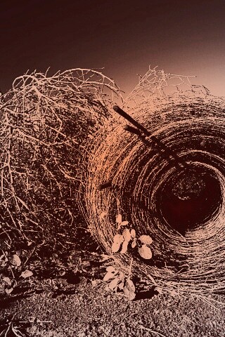 Клубок сена обои