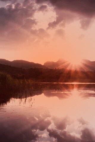 Закат за лесом обои