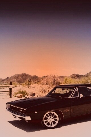 Мускулкар под палящим солнцем обои