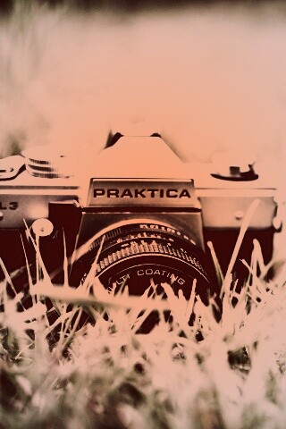 Фотоаппарат Praktica в траве обои
